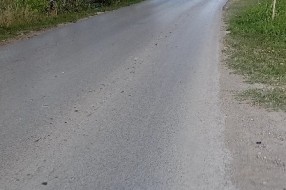 Opasnost za decu i školarce (Balkanska / Lošinjska ulica)