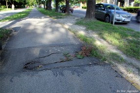 Zbog čega je Subotica toliko zapustila svoje biciklističke staze?