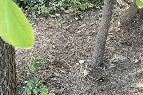 Narkomani u strogom centru