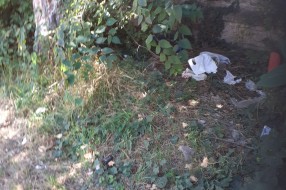 Čija je "prva kasarna" na Palićkom putu, ko treba da brine o njoj?