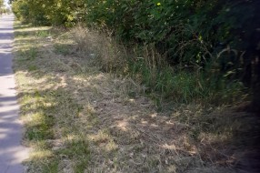 Čija je "prva kasarna" na Palićkom putu, ko treba da brine o njoj?