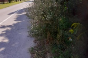 Čija je "prva kasarna" na Palićkom putu, ko treba da brine o njoj?