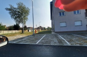 Nova zgrada na Karađorđevom putu zarasla u ambroziju i drugi korov