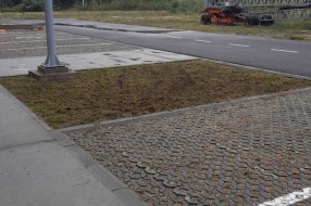 Nova zgrada na Karađorđevom putu zarasla u ambroziju i drugi korov