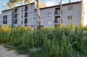 Nova zgrada na Karađorđevom putu zarasla u ambroziju i drugi korov