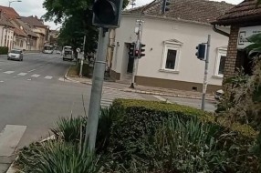 Granje zaklonilo semafor (ugao ulica Matije Gupca i Maksima Gorkog)