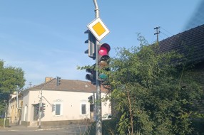 Granje zaklonilo semafor (ugao ulica Matije Gupca i Maksima Gorkog)