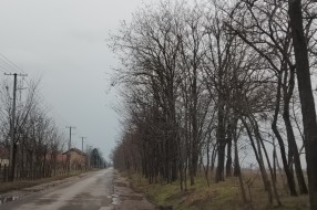 Loše i nebezbedno stanje puta na deonici Bikovo – Gabrić.