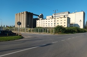 Dvorište bivše Fidelinke puno ambrozije i drugog korova