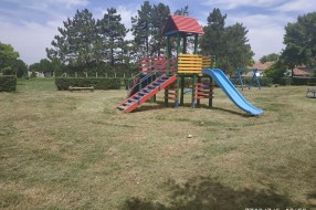Zapostavljene ulice u Subotici, korov do kolena!