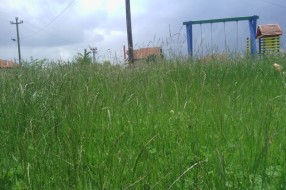 Košenje trave na igralištu u MZ "Mali Bajmok"