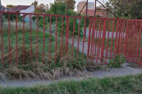 Teren u ulici Koste Abrašević zapušten i obrastao u korov i ambroziju