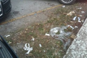 Divlja parking deponija u centru II