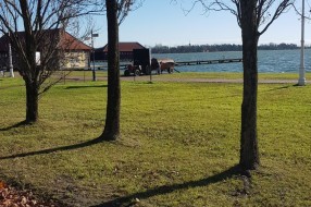 Istakanje fekalija u Palićko jezero?