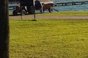 Istakanje fekalija u Palićko jezero?
