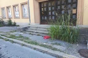 Železnička stanica obrasla korovom