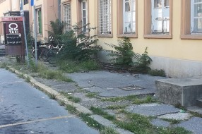 Železnička stanica obrasla korovom
