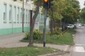 Semafor kod škole Sečenji Ištvan nije vidljiv od lišća i grana