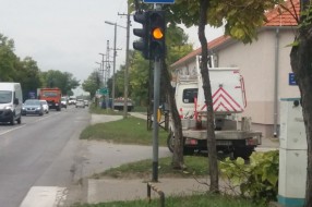 Semafor kod škole Sečenji Ištvan nije vidljiv od lišća i grana