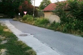 "Prašuma" na uglu ulica Gajeve i Svete Katarine