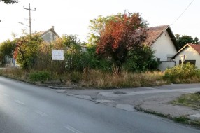 "Prašuma" na uglu ulica Gajeve i Svete Katarine