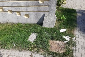 Trg žrtava fašizma - može li se sačuvati javni prostor?