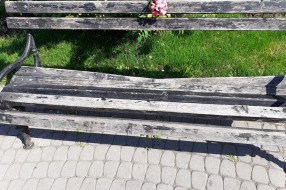 Trg žrtava fašizma - može li se sačuvati javni prostor?