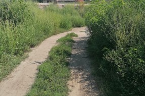 Ambrozija, neprohadna Kosovska ulica, nekontrolisani radovi brze pruge