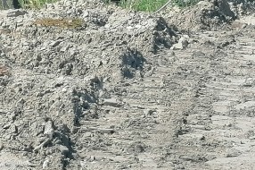 Ambrozija, neprohadna Kosovska ulica, nekontrolisani radovi brze pruge