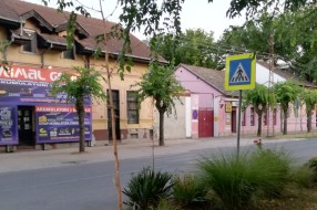 Izbledela "Zebra" na Somborskom putu