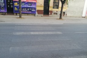 Izbledela "Zebra" na Somborskom putu