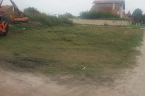 Korov u Kireškoj ulici
