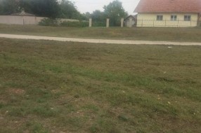Korov u Kireškoj ulici