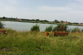 Palić - pogledajte kako izgleda "šetalište" oko Omladinskog jezera