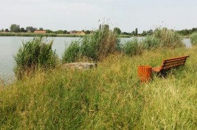 Palić - pogledajte kako izgleda "šetalište" oko Omladinskog jezera