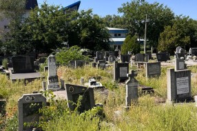 Pravoslavno groblje u Dudovoj šumi zaraslo u korov
