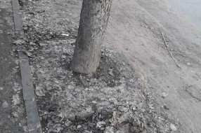 Zapušten parking u ulici Dinka Zlatarića