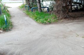 Rastinje na uglu Sonje Marinković i Lajoša Joa