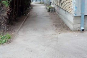 Rastinje na uglu Sonje Marinković i Lajoša Joa