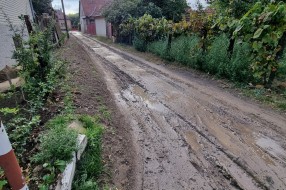 Neasfaltirana Daruvarska ulica, problem kanalizacija