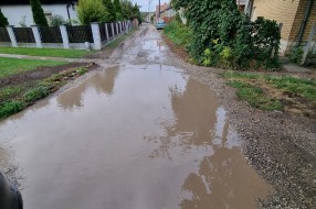 Neasfaltirana Daruvarska ulica, problem kanalizacija