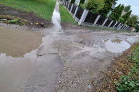 Neasfaltirana Daruvarska ulica, problem kanalizacija