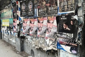 Narasla žbunja kod Nove opštine (OTP banke)