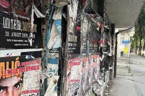 Narasla žbunja kod Nove opštine (OTP banke)