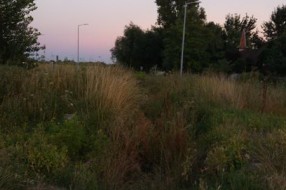 Zapušten kanal u ulici 51.divizije