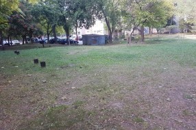 Da li može da se vrati igralište u Šumskoj?