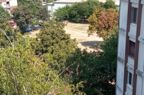 Košenje trave i prašina