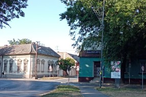 Ugroženi pešaci na raskrsnici Palmotićeve i Beogradskog puta