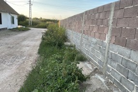 Zarasla Apatinska ulica