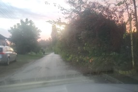 Feketićka ulica (zarastao put)